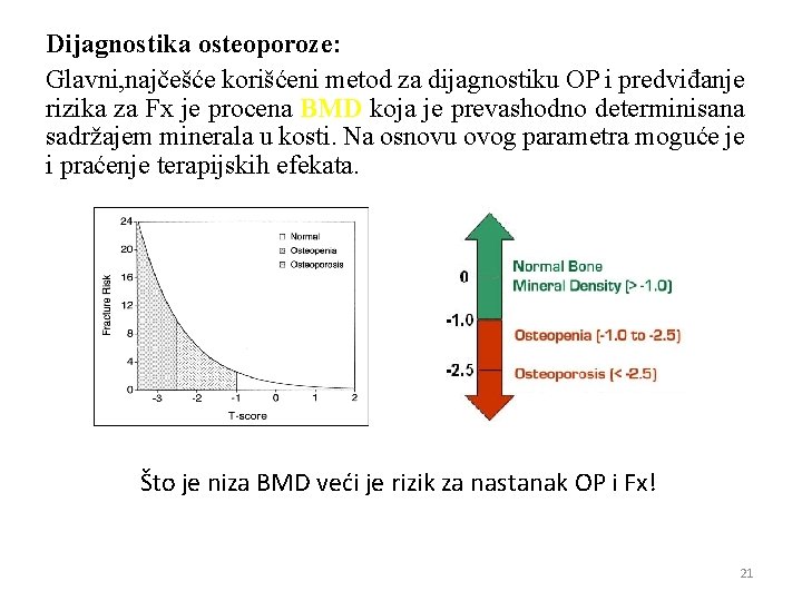 Dijagnostika osteoporoze: Glavni, najčešće korišćeni metod za dijagnostiku OP i predviđanje rizika za Fx