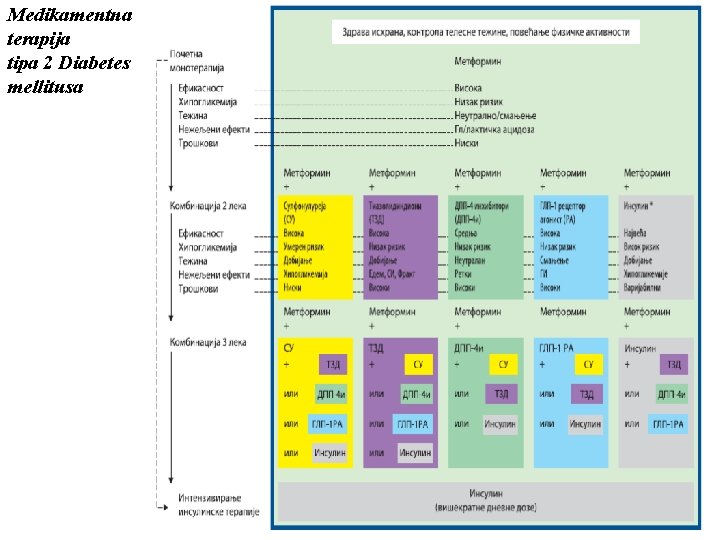 Medikamentna terapija tipa 2 Diabetes mellitusa 48 