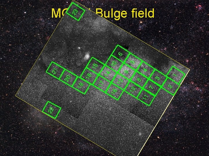 MOA-II Bulge field 