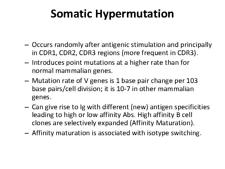 Somatic Hypermutation – Occurs randomly after antigenic stimulation and principally in CDR 1, CDR