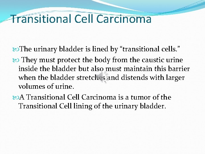 Transitional Cell Carcinoma The urinary bladder is lined by “transitional cells. ” They must