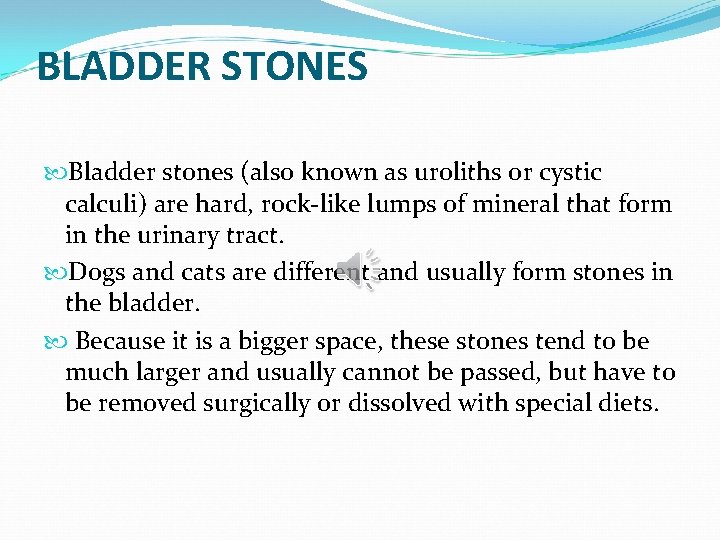 BLADDER STONES Bladder stones (also known as uroliths or cystic calculi) are hard, rock-like