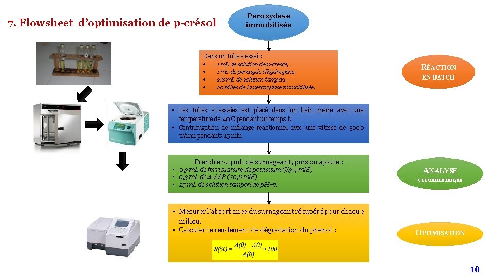 7. Flowsheet d’optimisation de p-crésol Peroxydase immobilisée Dans un tube à essai : 1 7. Flowsheet d’optimisation de p-crésol Peroxydase immobilisée Dans un tube à essai : 1