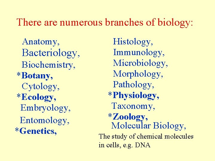 There are numerous branches of biology: Anatomy, Bacteriology, Biochemistry, *Botany, Cytology, *Ecology, Embryology, Entomology, There are numerous branches of biology: Anatomy, Bacteriology, Biochemistry, *Botany, Cytology, *Ecology, Embryology, Entomology,