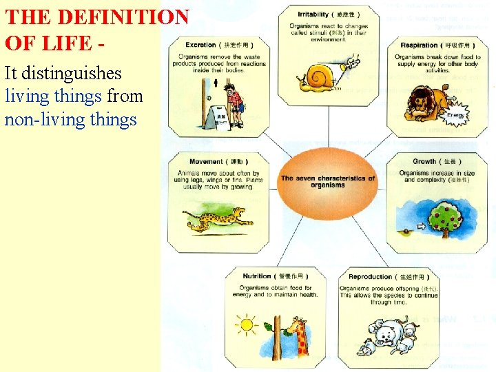 THE DEFINITION OF LIFE It distinguishes living things from non-living things THE DEFINITION OF LIFE It distinguishes living things from non-living things