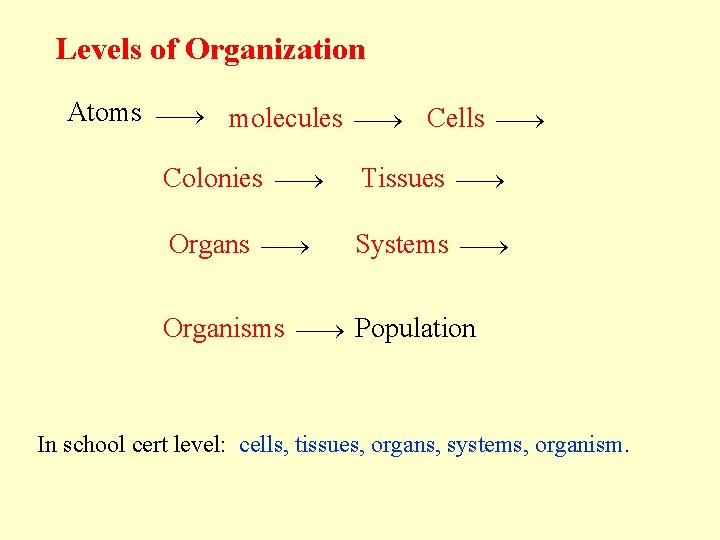 Levels of Organization Atoms molecules Cells Colonies Tissues Organs Systems Organisms Population In school