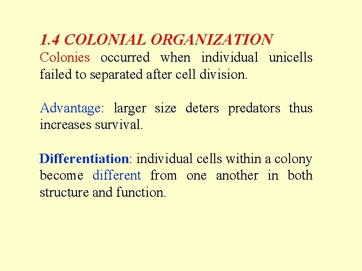 1. 4 COLONIAL ORGANIZATION Colonies occurred when individual unicells failed to separated after cell