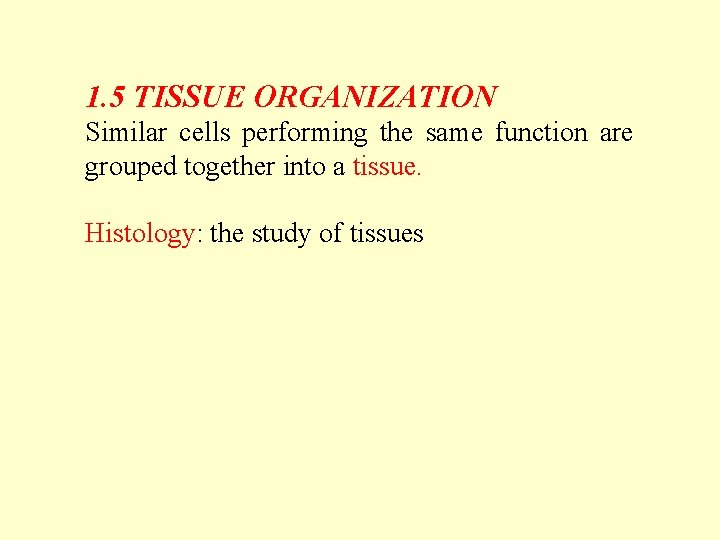 1. 5 TISSUE ORGANIZATION Similar cells performing the same function are grouped together into