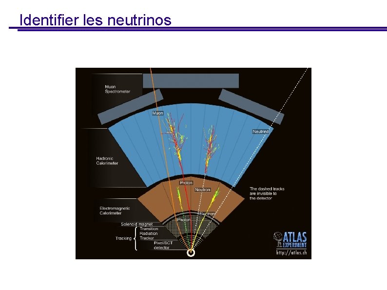 Identifier les neutrinos 