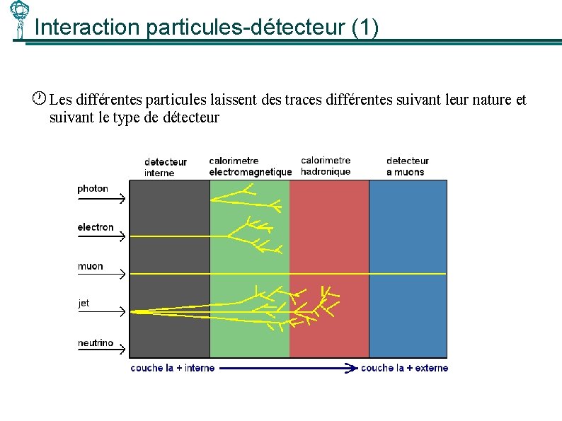 Interaction particules-détecteur (1) Les différentes particules laissent des traces différentes suivant leur nature et