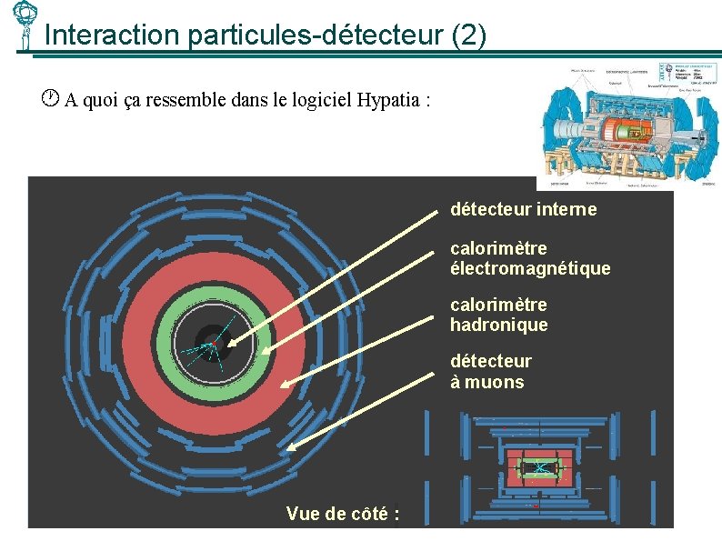 Interaction particules-détecteur (2) A quoi ça ressemble dans le logiciel Hypatia : détecteur interne