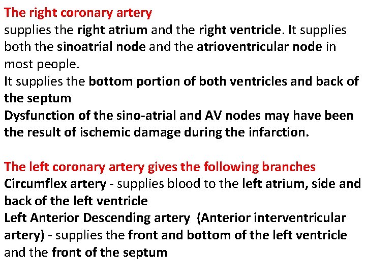 The right coronary artery supplies the right atrium and the right ventricle. It supplies