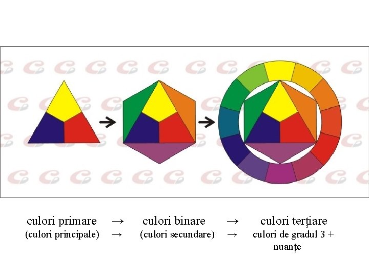 culori primare → culori binare → culori terțiare (culori principale) → (culori secundare) →