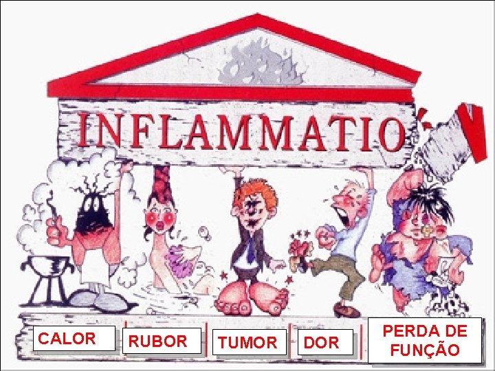 CALOR RUBOR TUMOR DOR PERDA DE FUNÇÃO CALOR RUBOR TUMOR DOR PERDA DE FUNÇÃO