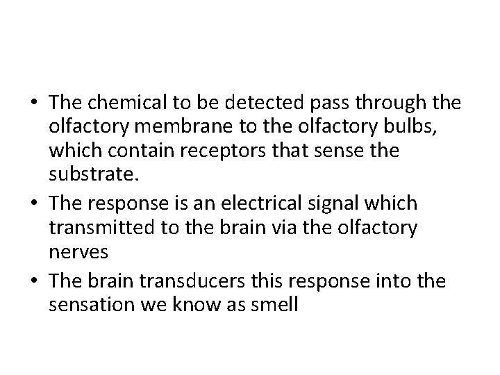 • The chemical to be detected pass through the olfactory membrane to the • The chemical to be detected pass through the olfactory membrane to the