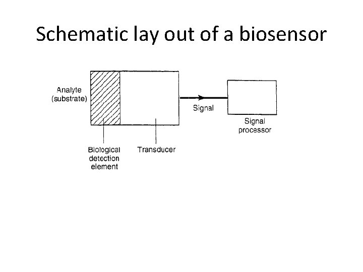 Schematic lay out of a biosensor Schematic lay out of a biosensor