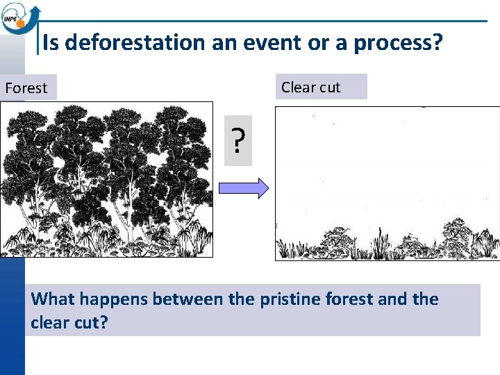 Is deforestation an event or a process? Clear cut Forest ? What happens between