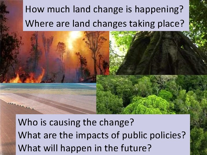 How much land change is happening? Global Change Where are land changes taking place?