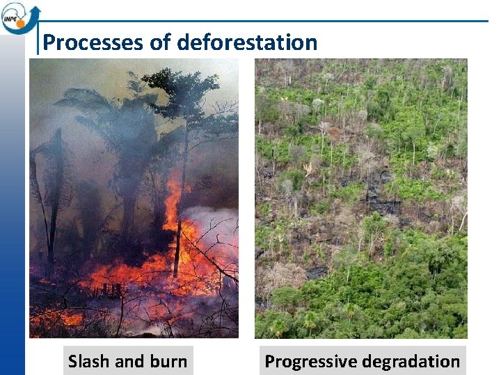 Processes of deforestation Slash and burn Progressive degradation 