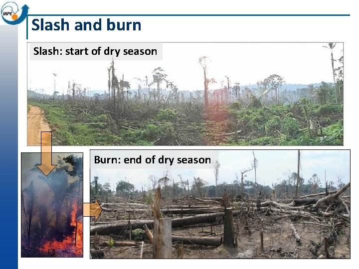 Slash and burn Slash: start of dry season Burn: end of dry season 