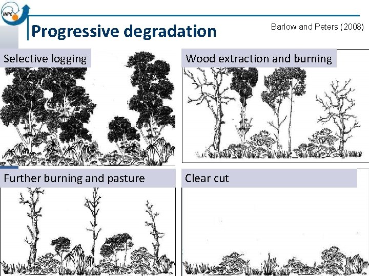 Progressive degradation Barlow and Peters (2008) Selective logging Wood extraction and burning Further burning
