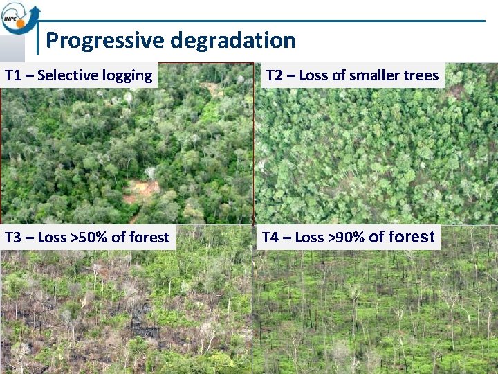 Progressive degradation T 1 – Selective logging T 2 – Loss of smaller trees