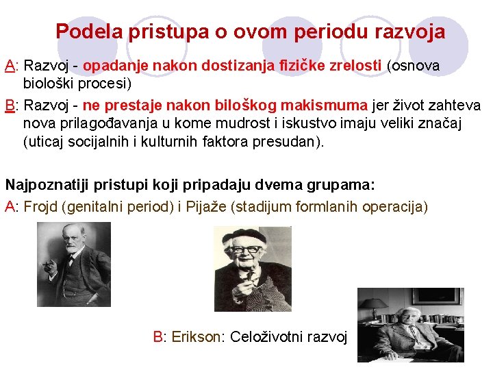 Podela pristupa o ovom periodu razvoja A: Razvoj - opadanje nakon dostizanja fizičke zrelosti Podela pristupa o ovom periodu razvoja A: Razvoj - opadanje nakon dostizanja fizičke zrelosti