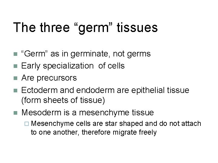 The three “germ” tissues n n n “Germ” as in germinate, not germs Early