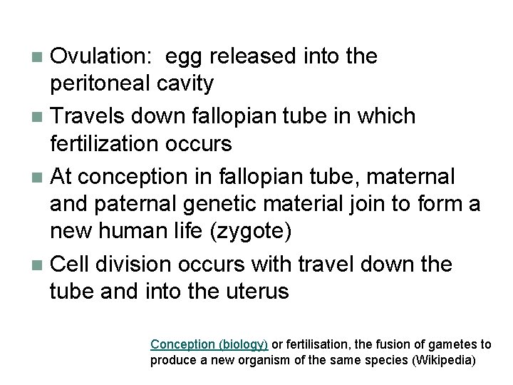 Ovulation: egg released into the peritoneal cavity n Travels down fallopian tube in which