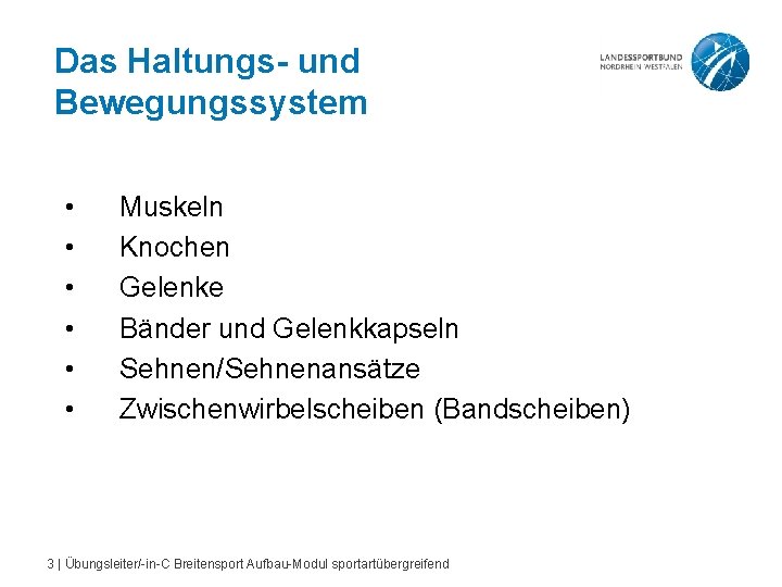 Das Haltungs- und Bewegungssystem • • • Muskeln Knochen Gelenke Bänder und Gelenkkapseln Sehnen/Sehnenansätze