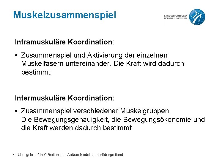 Muskelzusammenspiel Intramuskuläre Koordination: • Zusammenspiel und Aktivierung der einzelnen Muskelfasern untereinander. Die Kraft wird