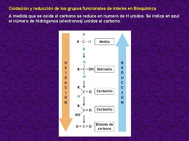 Oxidación y reducción de los grupos funcionales de interés en Bioquímica A medida que