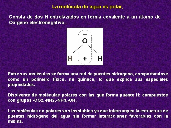 La molécula de agua es polar. Consta de dos H entrelazados en forma covalente