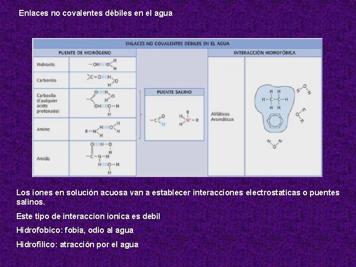 Enlaces no covalentes débiles en el agua Los iones en solución acuosa van a