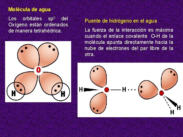 Molécula de agua Los orbitales sp 3 del Oxígeno están ordenados de manera tetrahédrica.