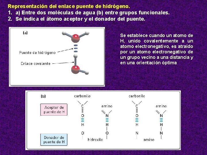 Representación del enlace puente de hidrógeno. 1. a) Entre dos moléculas de agua (b)