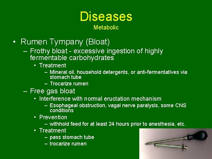 Diseases Metabolic • Rumen Tympany (Bloat) – Frothy bloat - excessive ingestion of highly