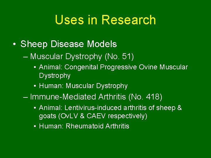 Uses in Research • Sheep Disease Models – Muscular Dystrophy (No. 51) • Animal: