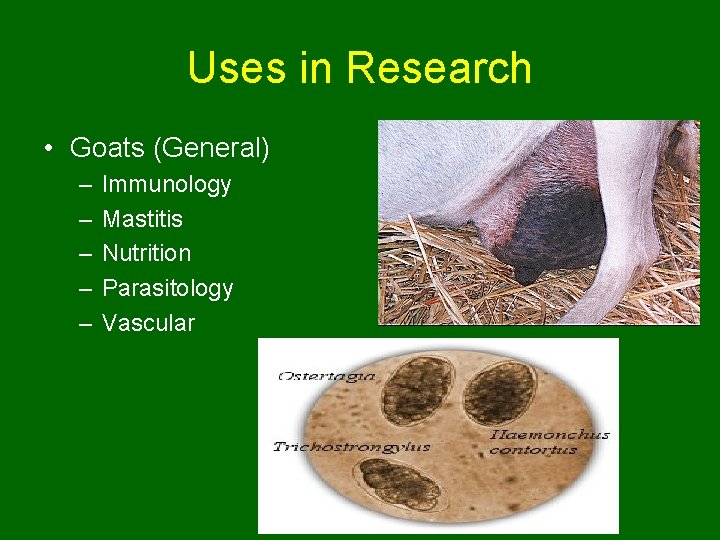 Uses in Research • Goats (General) – – – Immunology Mastitis Nutrition Parasitology Vascular