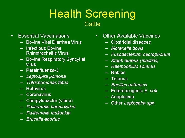 Health Screening Cattle • Essential Vaccinations – Bovine Viral Diarrhea Virus – Infectious Bovine