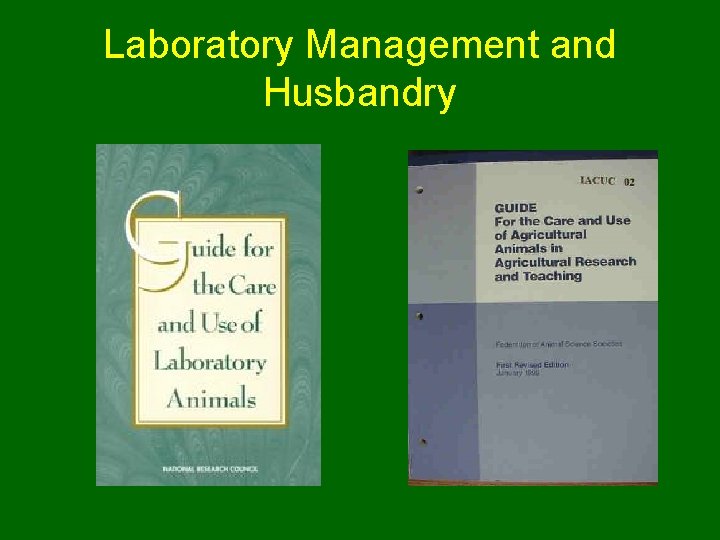 Laboratory Management and Husbandry 