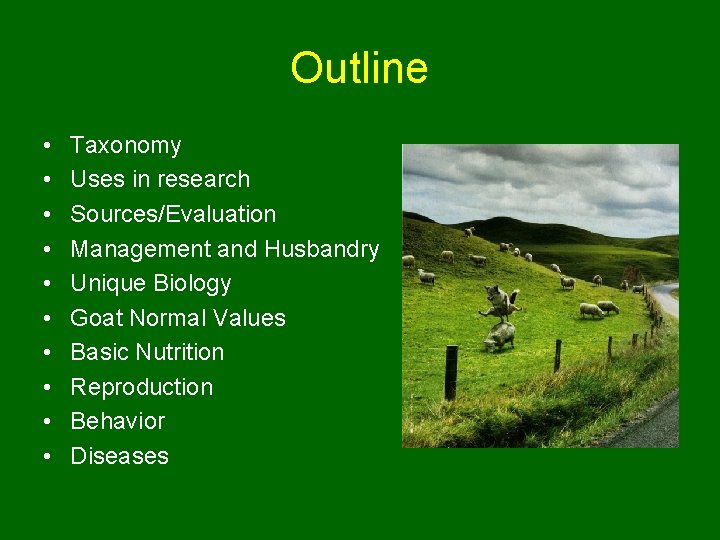 Outline • • • Taxonomy Uses in research Sources/Evaluation Management and Husbandry Unique Biology