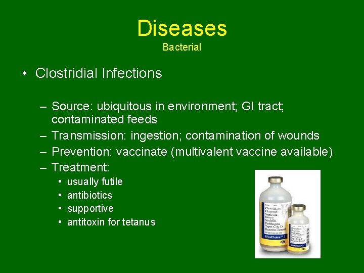 Diseases Bacterial • Clostridial Infections – Source: ubiquitous in environment; GI tract; contaminated feeds