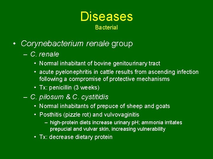 Diseases Bacterial • Corynebacterium renale group – C. renale • Normal inhabitant of bovine