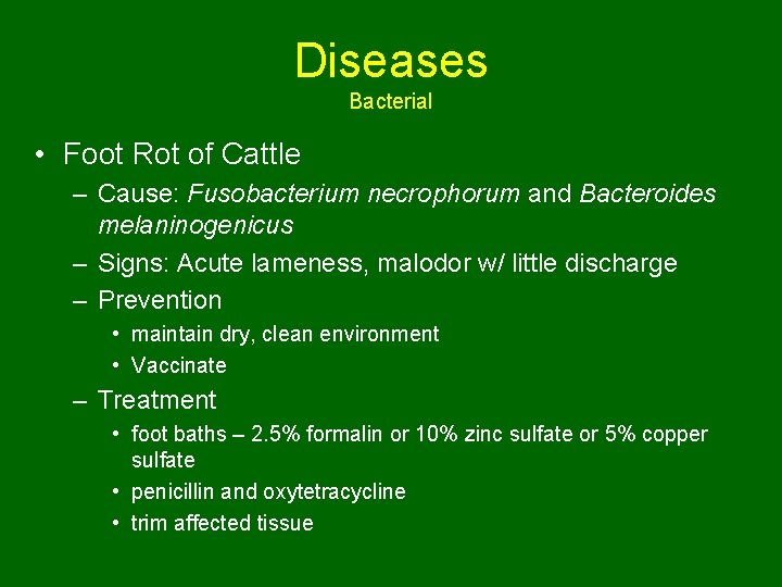 Diseases Bacterial • Foot Rot of Cattle – Cause: Fusobacterium necrophorum and Bacteroides melaninogenicus