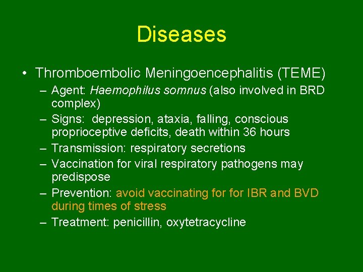 Diseases • Thromboembolic Meningoencephalitis (TEME) – Agent: Haemophilus somnus (also involved in BRD complex)