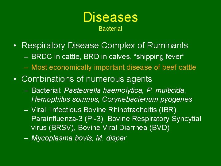 Diseases Bacterial • Respiratory Disease Complex of Ruminants – BRDC in cattle, BRD in