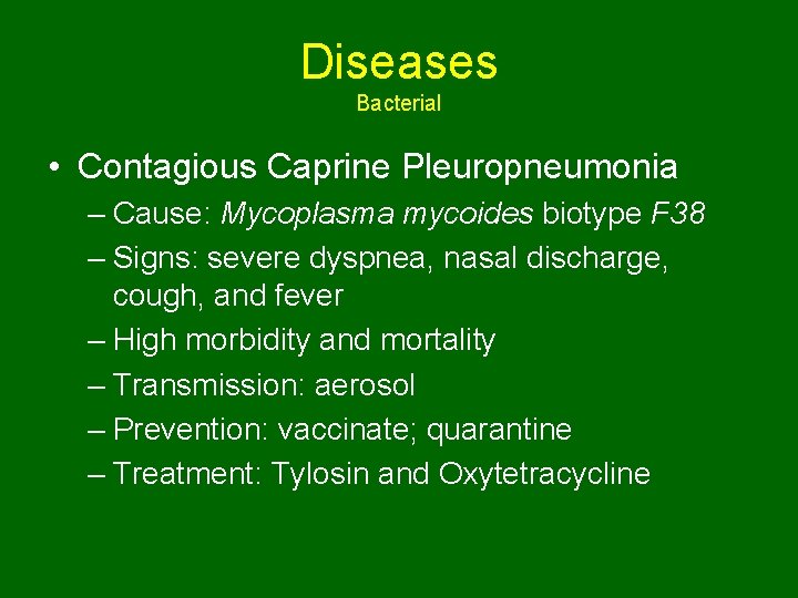 Diseases Bacterial • Contagious Caprine Pleuropneumonia – Cause: Mycoplasma mycoides biotype F 38 –