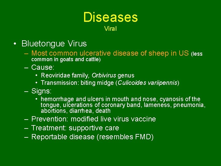 Diseases Viral • Bluetongue Virus – Most common ulcerative disease of sheep in US