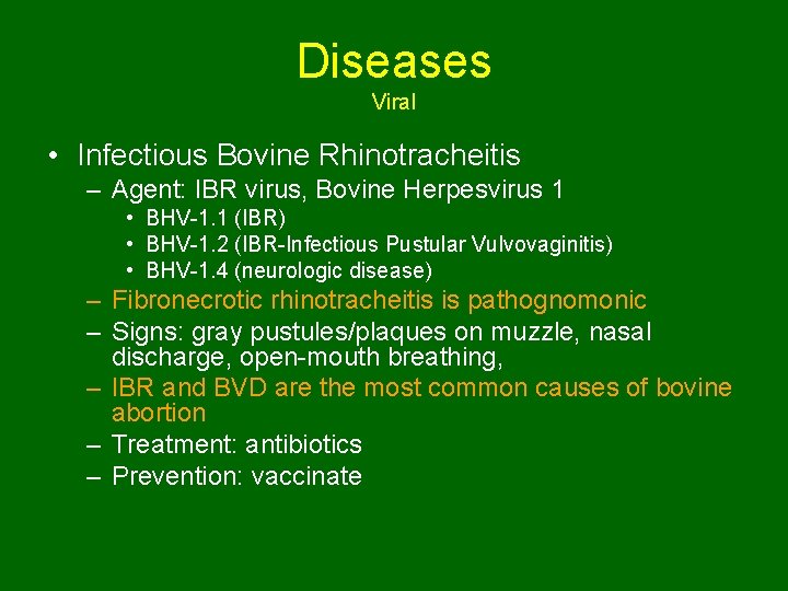 Diseases Viral • Infectious Bovine Rhinotracheitis – Agent: IBR virus, Bovine Herpesvirus 1 •